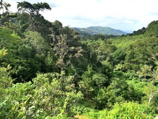 Terreno en venta en Piedra Parada, CES Guatemala - Image 14