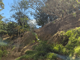 Oportunidad Única: Terreno en venta en Zona 16, Ciudad de Guatemala - Image 8