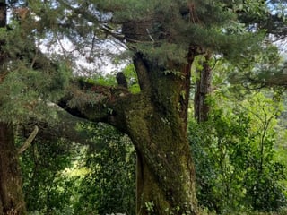 Terreno en Venta Granja Buenos Aires, Fraijanes - 4