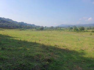 Exclusiva Finca en Venta cerca de Patulul, Suchitepéquez - 4
