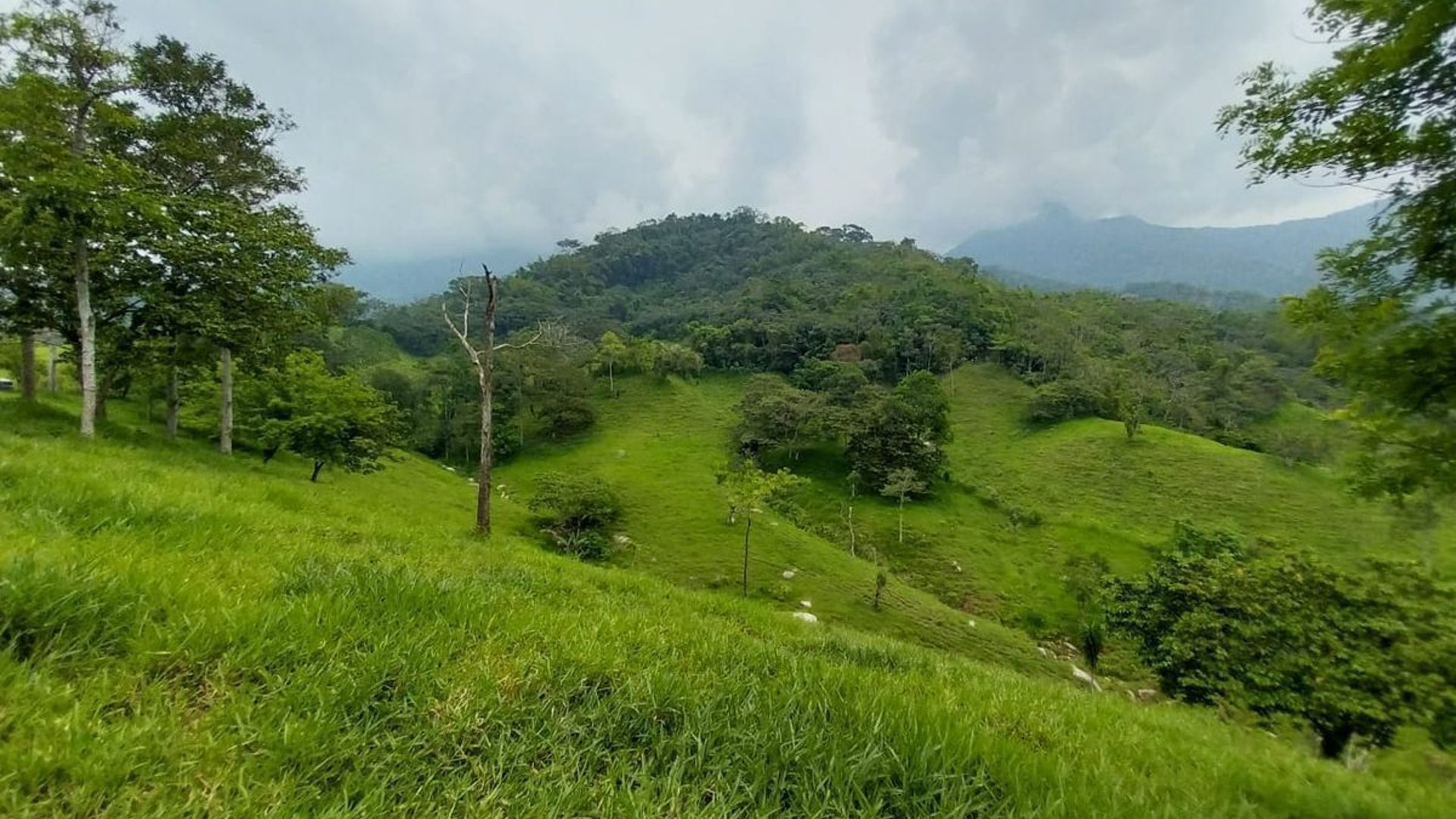 Finca en VENTA de 2 caballerías en Chicacao, Suchitepéquez - Miniatura 10