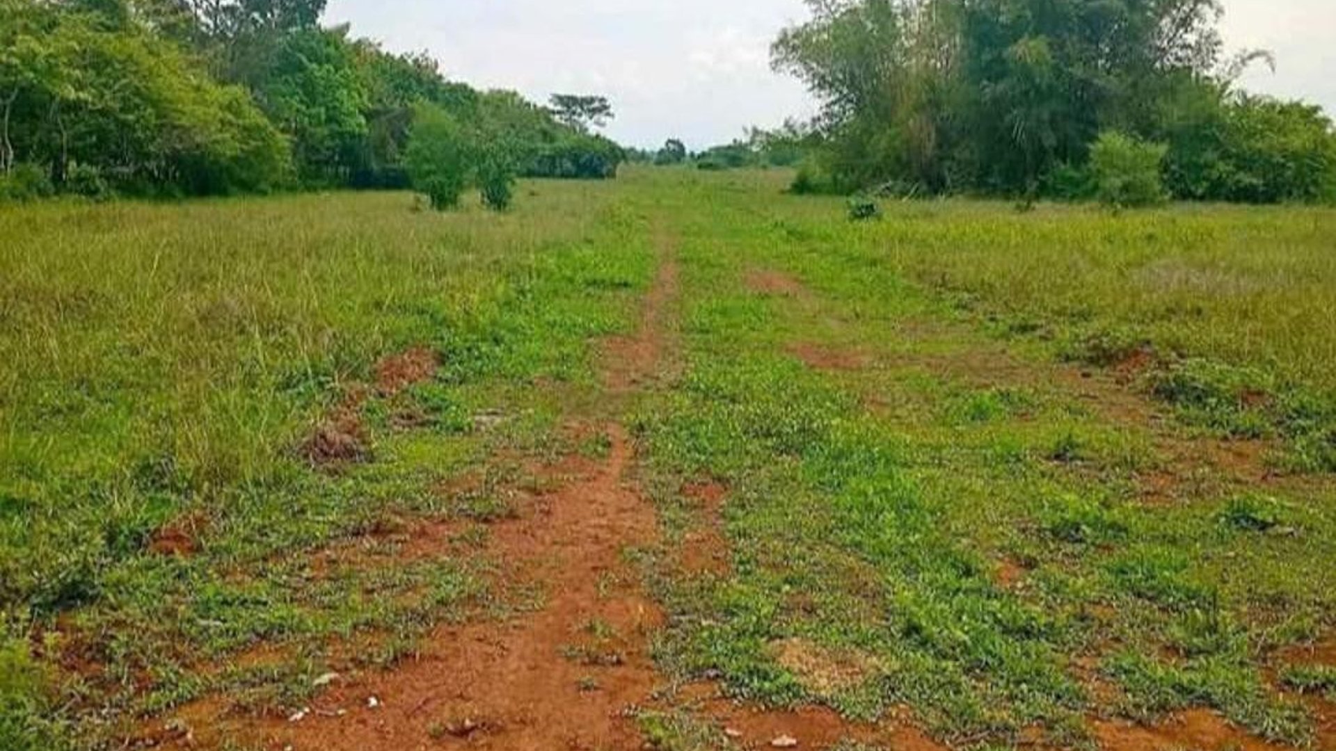 Terreno en Venta en Retalhuleu | 15 manzanas - Miniatura 4