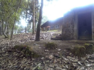 Granja en Venta – Cerro Alux, San Lucas Sacatepéquez - Image 7