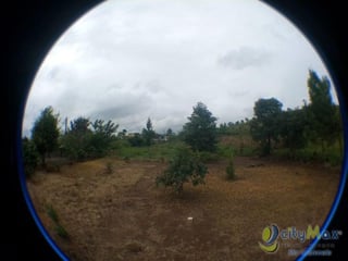 Vendo Terreno de 7,250vrs² adelante de Ciudad Peronia - 2