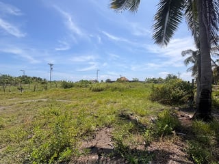 Lote en Venta a 150 mts de playa, Palm Town Beach, Escuintla - 4
