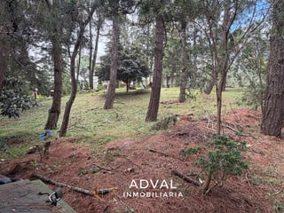 Terreno exclusivo en excelente ubicación Arrazola 1 CAES KM 17.5 - 3