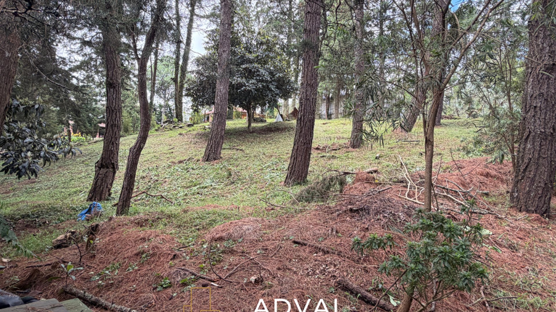 Terreno exclusivo en excelente ubicación Arrazola 1 CAES KM 17.5 - Miniatura 3