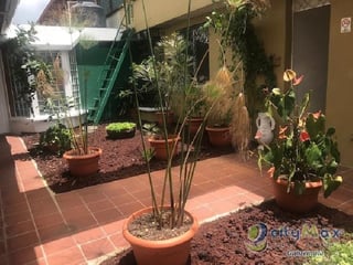 Oficina coworking en renta en zona 15 Guatemala - 5
