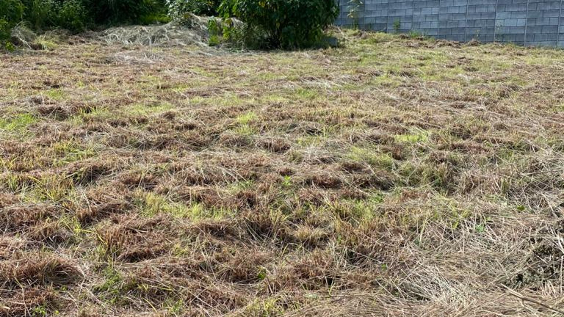 Alquilo amplio terreno avenida hincapie zona 13