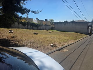 EXCELENTE OPORTUNIDAD TERRENO URBANIZADO DENTRO DE GARITA - 2