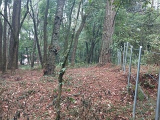 Terreno Comercial en Renta en Carretera Interamericana - 4