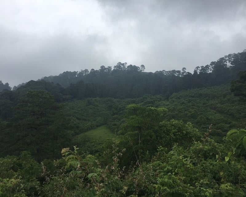 Terreno en venta zona 16, Vista Hermosa IV