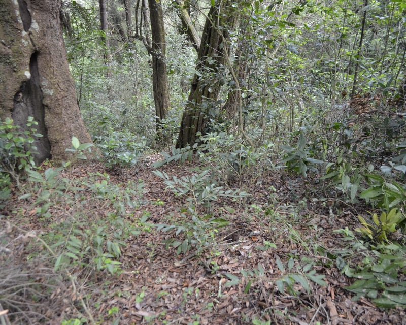 Terreno en venta, en Fraijanes