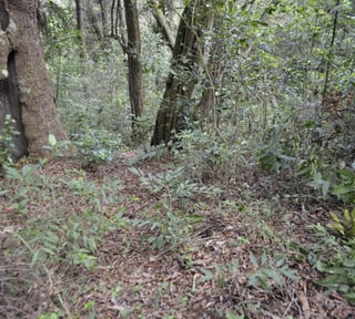 Terreno en venta, en Fraijanes