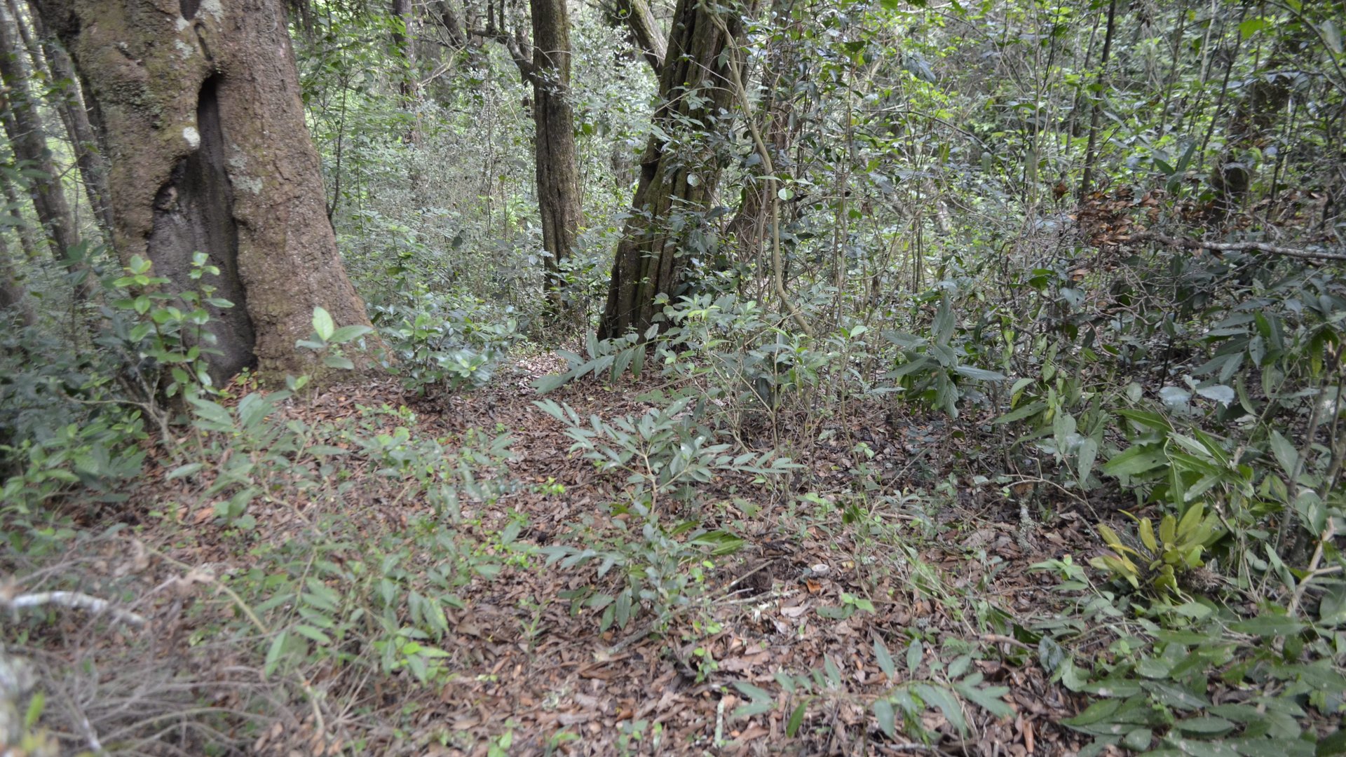 Terreno en venta, en Fraijanes