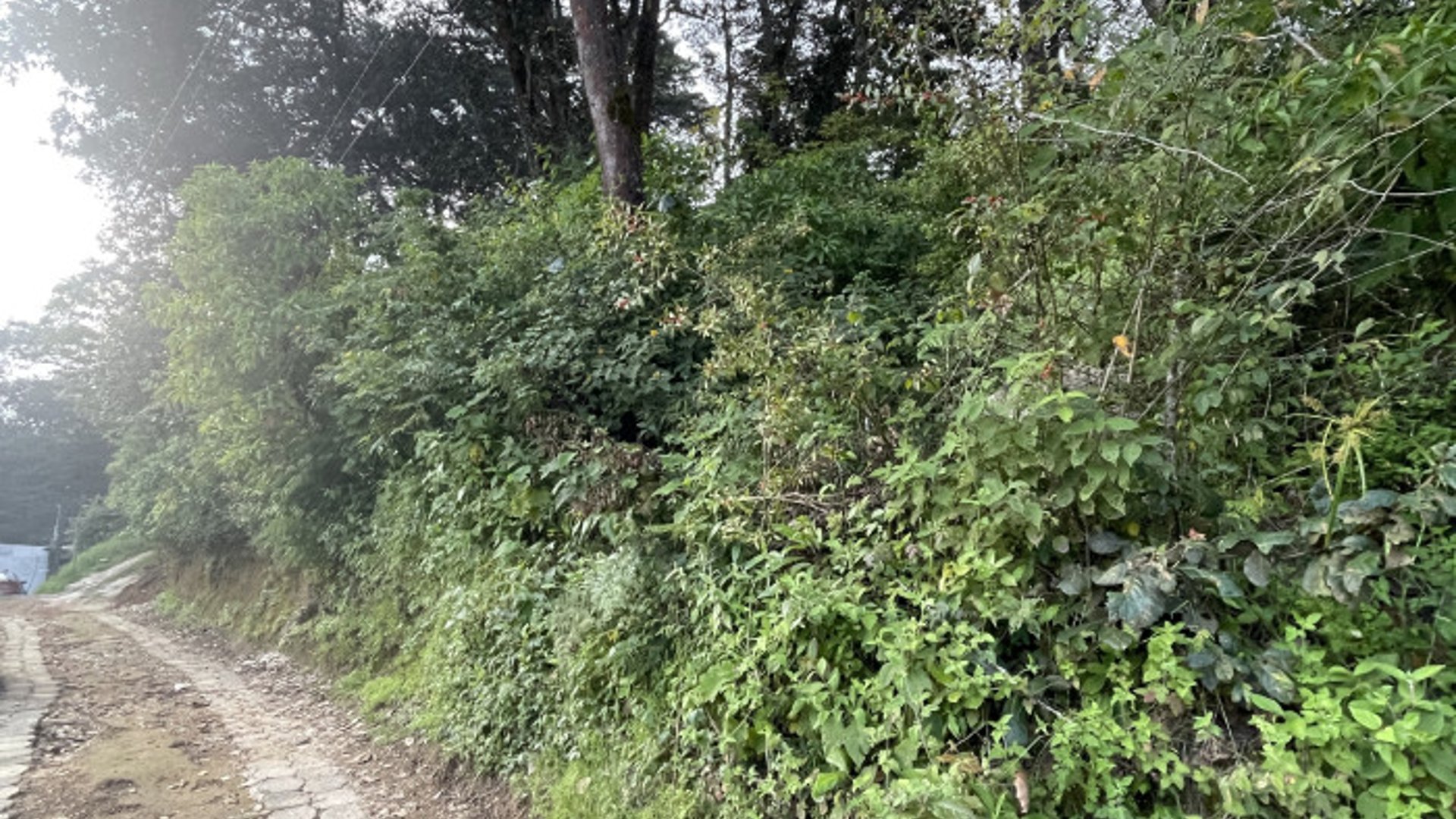 Terreno en venta en Aldea Chichorin San Lucas - Miniatura 8