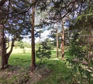 TERRENO EN VENTA EN EL KM 18.5 CARRETERA EL SALVADOR CAMINO A FRAIJANES