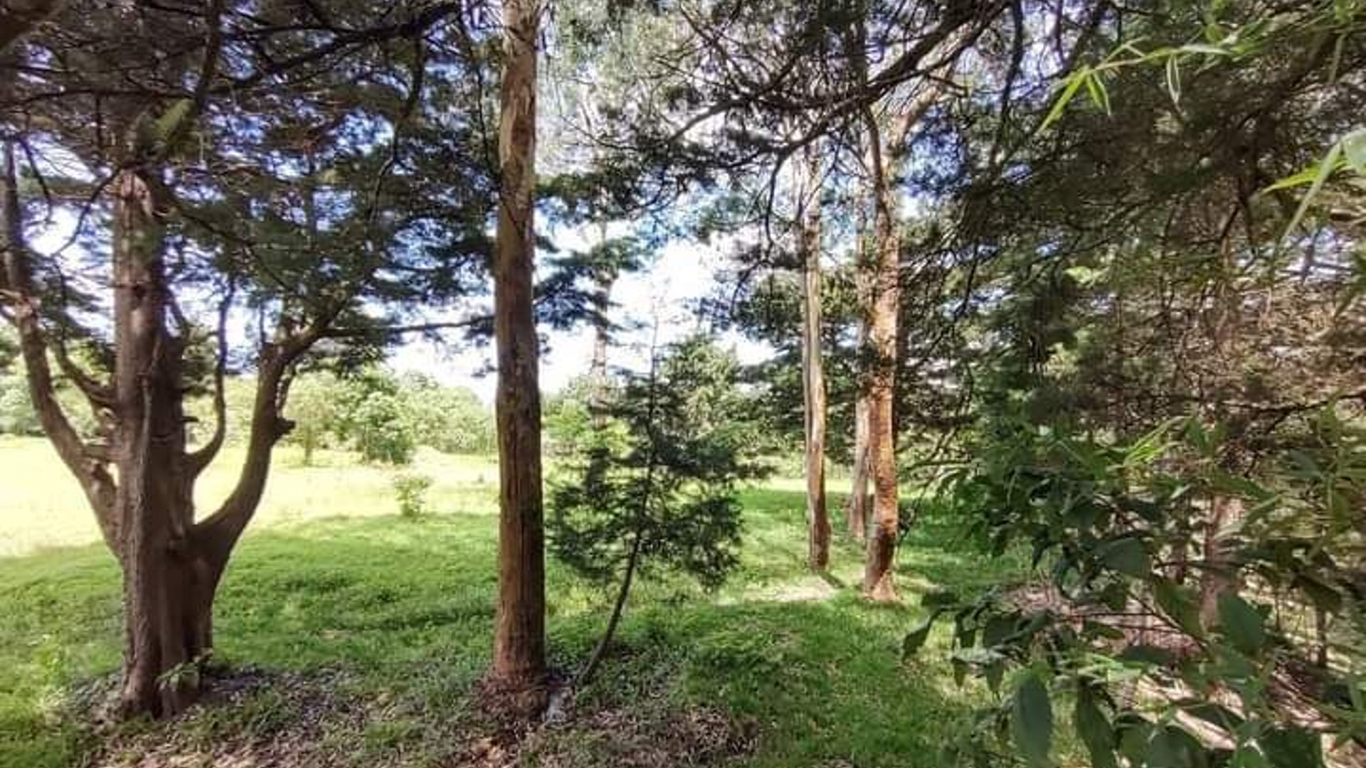 TERRENO EN VENTA EN EL KM 18.5 CARRETERA EL SALVADOR CAMINO A FRAIJANES
