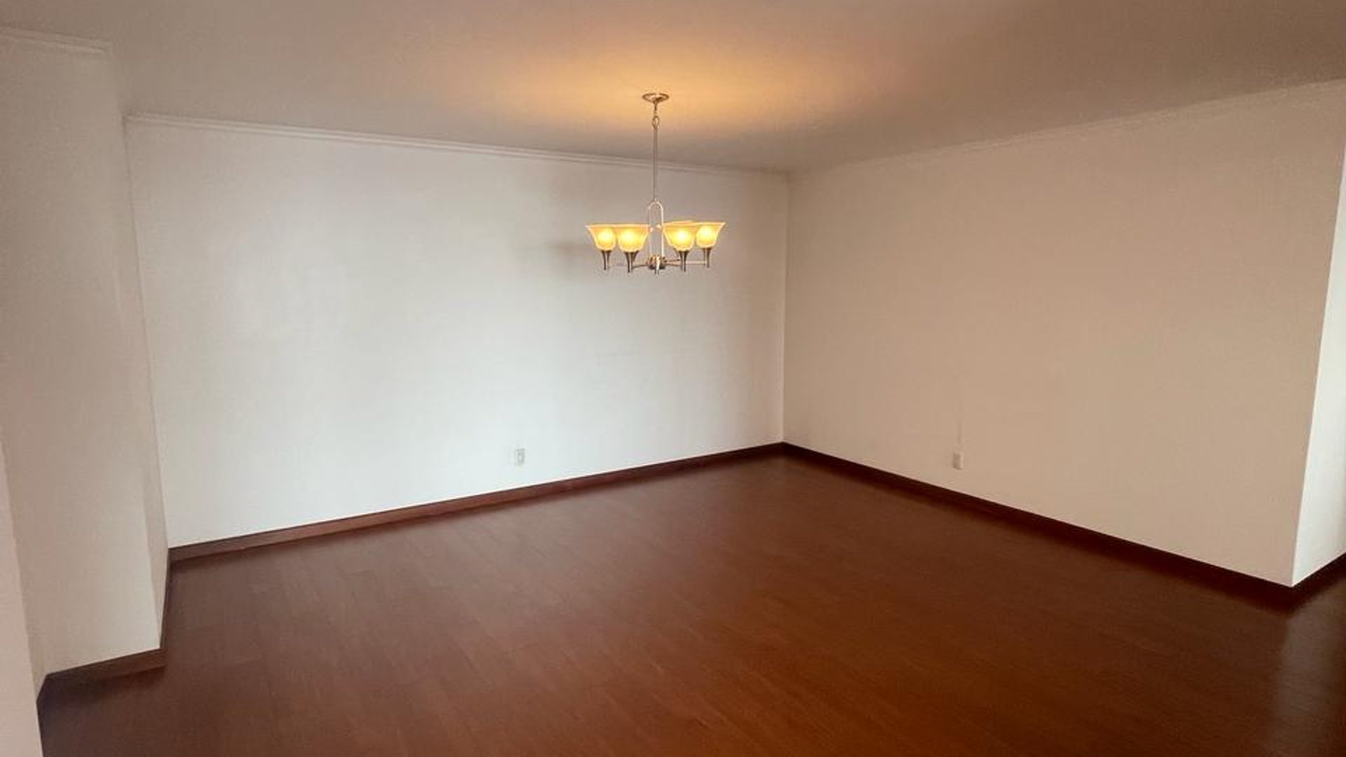 Apartamento en Alquiler Edificio Botticelli II, zona 15 VHII - Miniatura 5