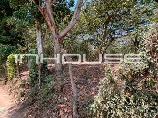 TERRENO EN VENTA EN SANTA ELENA BARILLAS - Image 5