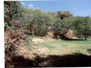 Terreno en Venta en Sausalito, Fraijanes. - 4