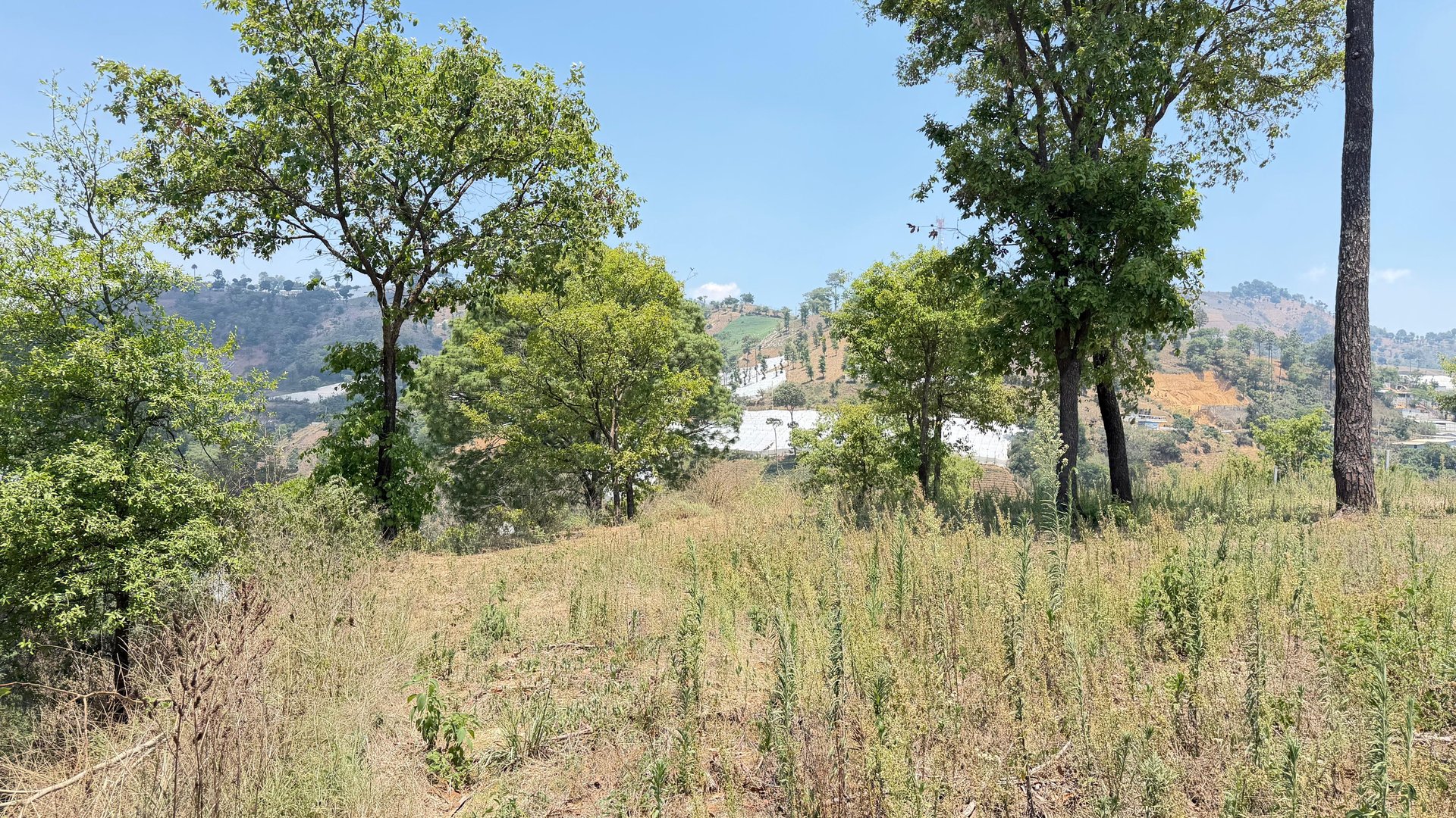 Terreno en Venta Sumpango, Sacatepéquez: 3.7 Hectáreas para su Proyecto - Miniatura 19
