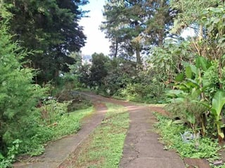 TERRENO EN VENTA – SANTA CATARINA PINULA - 3