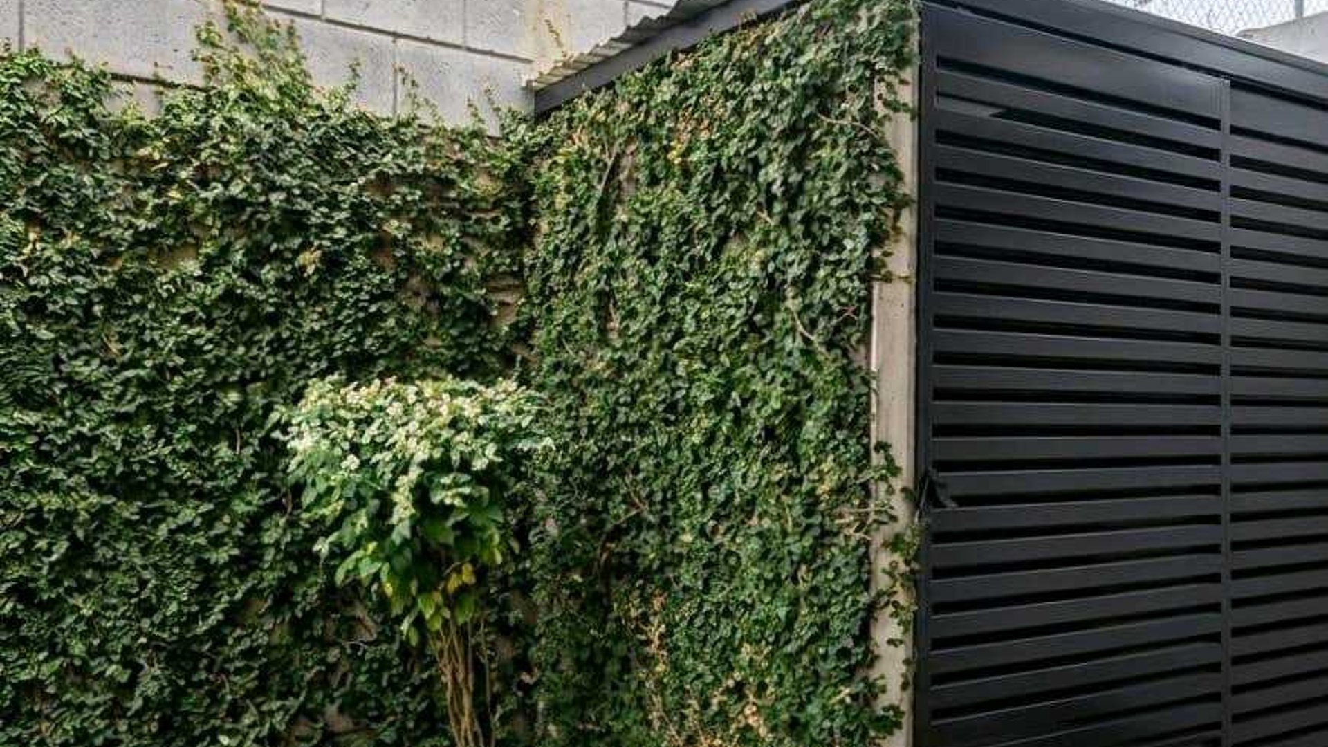 CASA EN VENTA / ALQUILER????  Tanta Premier, Santa Catarina Pinula - Miniatura 5