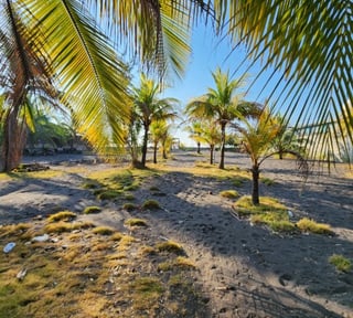 Cesión de Terreno Vacacional en OCRET Puerto San José