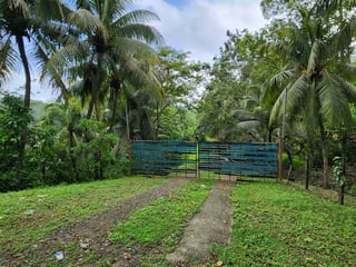 VENTA TERRENO EN LA ENTRADA A PUERTO BARRIOS - 5