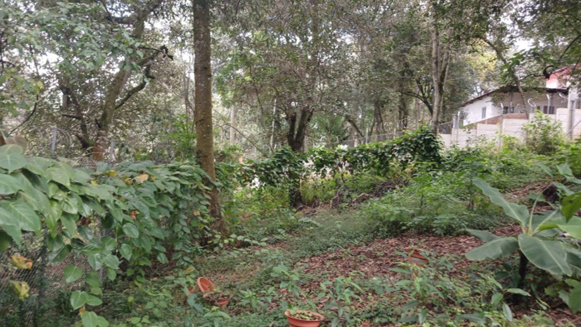 TERRENO EN VENTA EN SAN LUCAS SACATEPEQUEZ - Miniatura 12