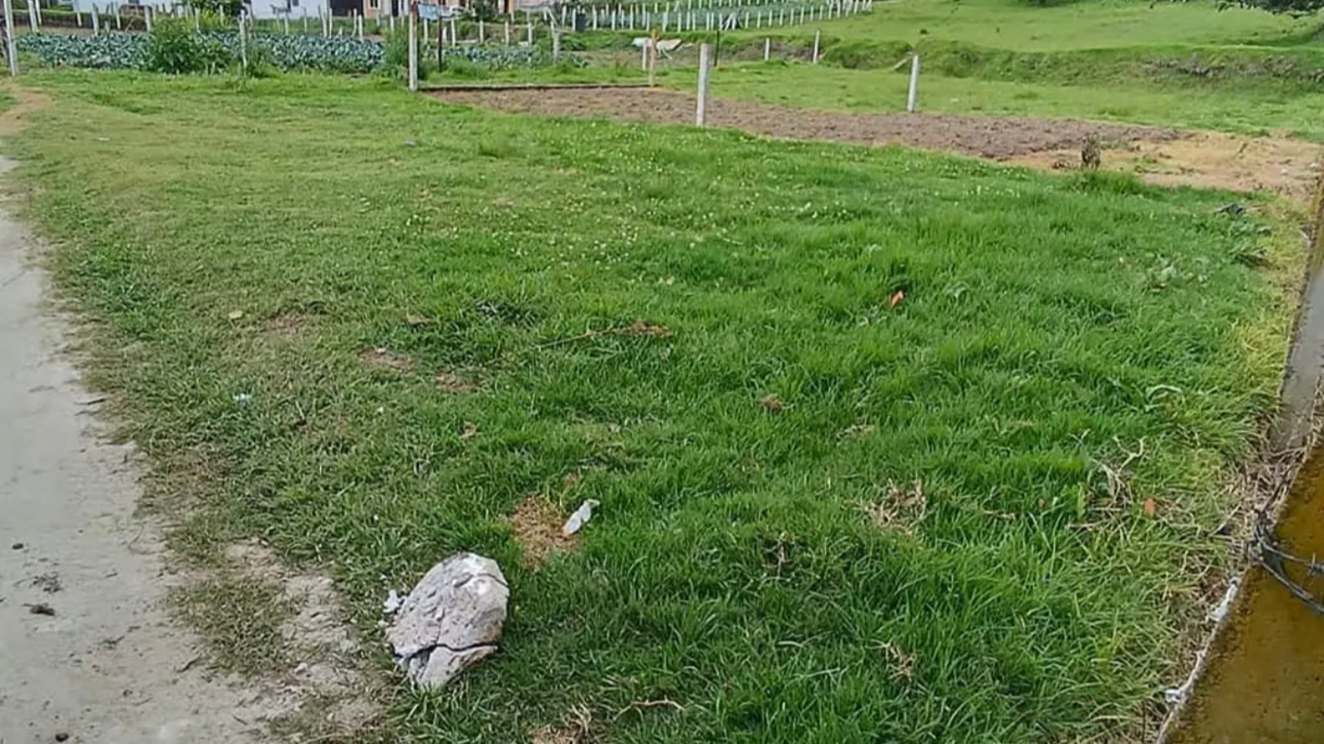 Terreno en Venta en Salcajá, Quetzaltenango | Oportunidad Única - Miniatura 3