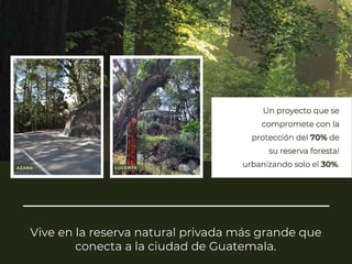 TERRENO EN  VENTA EN LEGADO DEL BOSQUE - 3