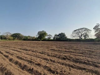 Terreno en Venta  Carretera Antigua Puerto  San José - Image 6