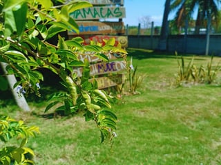 Chalet & glamping en venta carr. a Monterrico | 1,890 m²  Potencial Turístico, hotelero y comercial 🌴✨🏖️ - 3