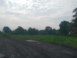 Finca en Venta Agricola o inmobiliaria Escuintla - 3
