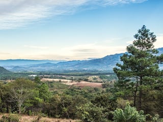 Vendo terreno en Pulté 1170.57m2 - 5