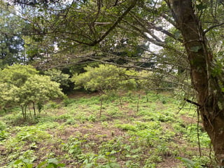 Vendo Terreno en Granja Paraíso, El Cerrito, Fraijanes - 2