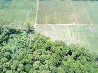Finca de 17 Manzanas Planas en Venta en CAES Jocotillo - 4