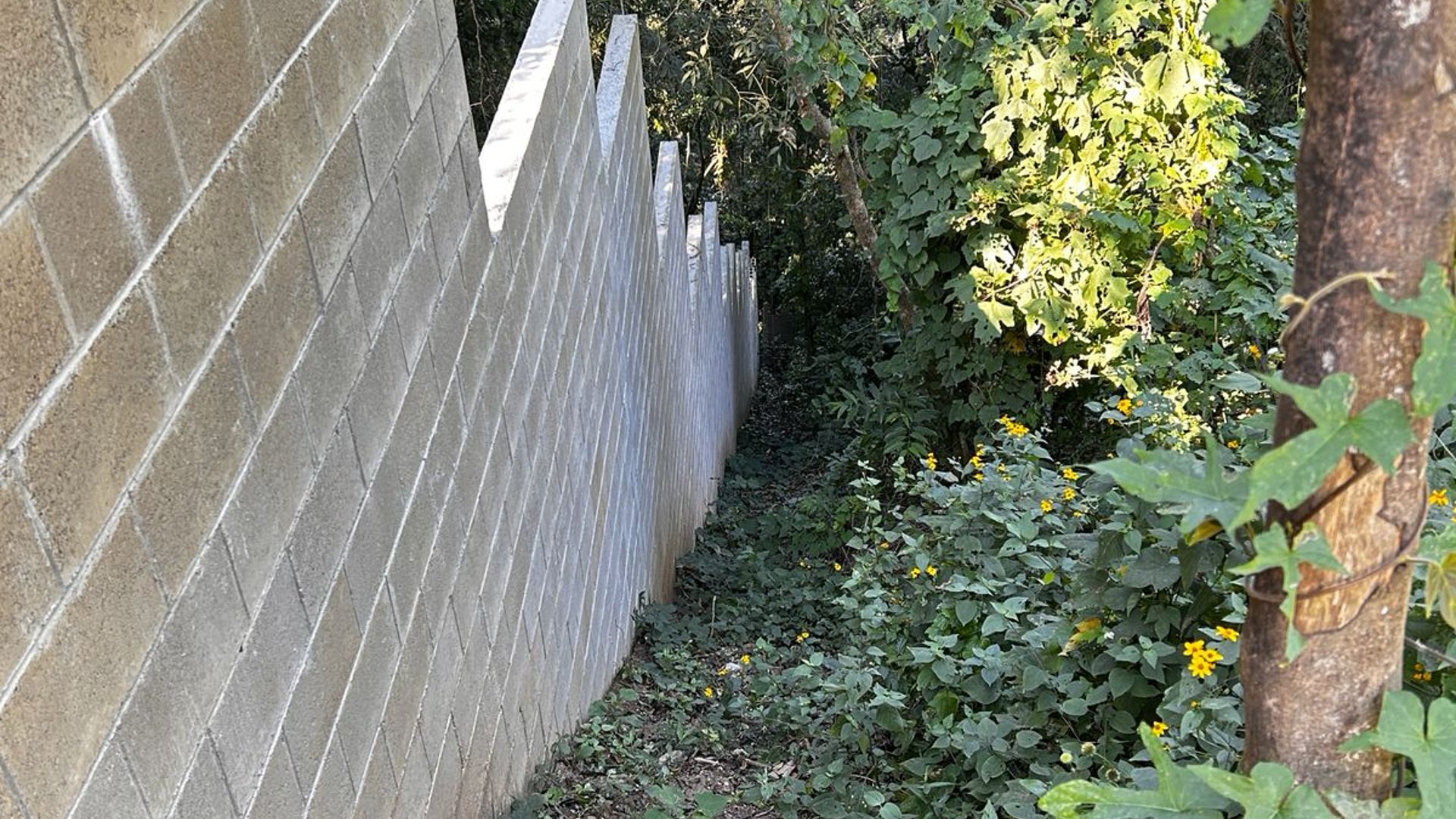 Terreno en Venta km 12.5 Carretera a El Salvador / Santa Rosalía