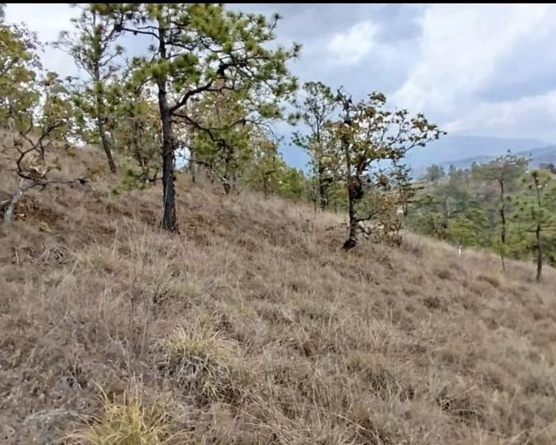 Terreno en Venta - 98m2 Huehuetenango, Guatemala - ¡Oportunidad!