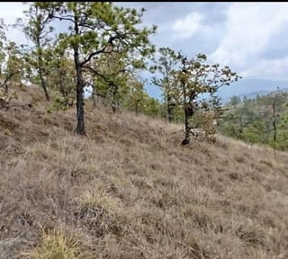 Terreno en Venta - 98m2 Huehuetenango, Guatemala - ¡Oportunidad!