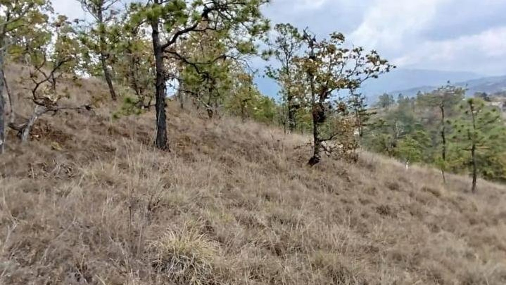 Terreno en Venta - 98m2 Huehuetenango, Guatemala - ¡Oportunidad!