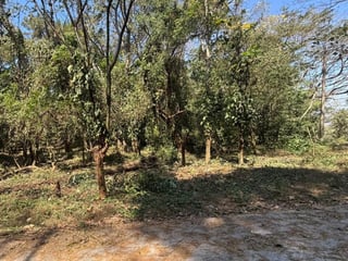 Lote en Venta RioSul, Escuintla, Guatemala - 4