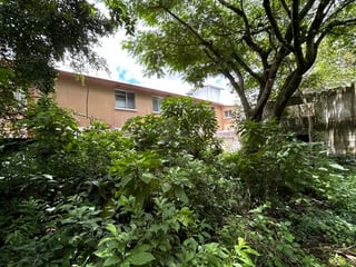 Vendo Terreno en zona 2 Ciudad Nueva - 4