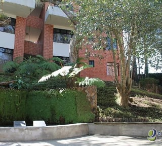 Apartamento en venta en Villa Cafeto en CAES
