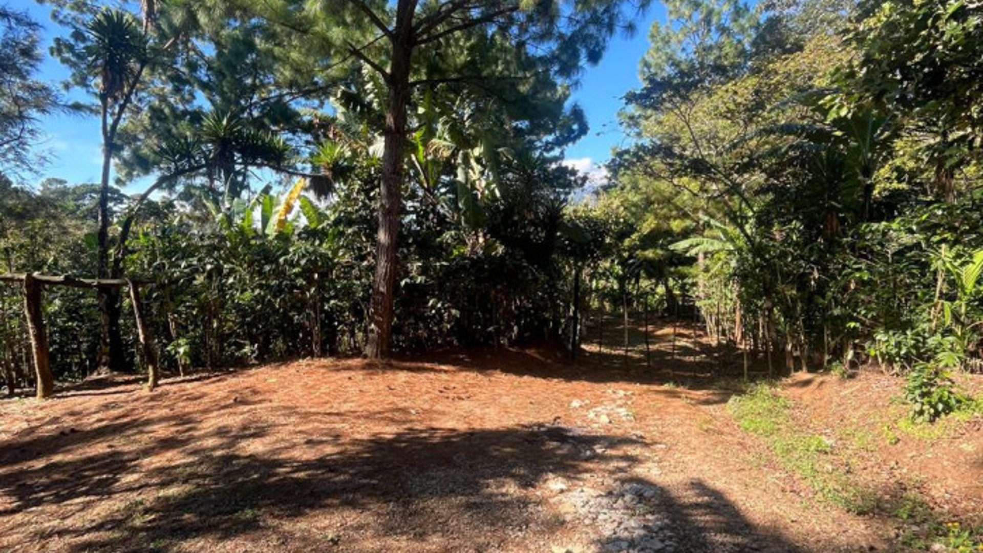 Finca en Venta en Fraijanes, Guatemala | Km 16-30 - Miniatura 5