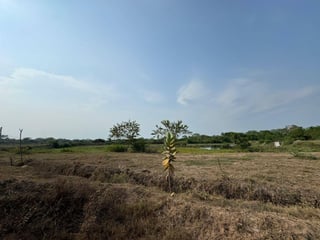 Finca en venta en Puerto Iztapa, Escuintla - 3