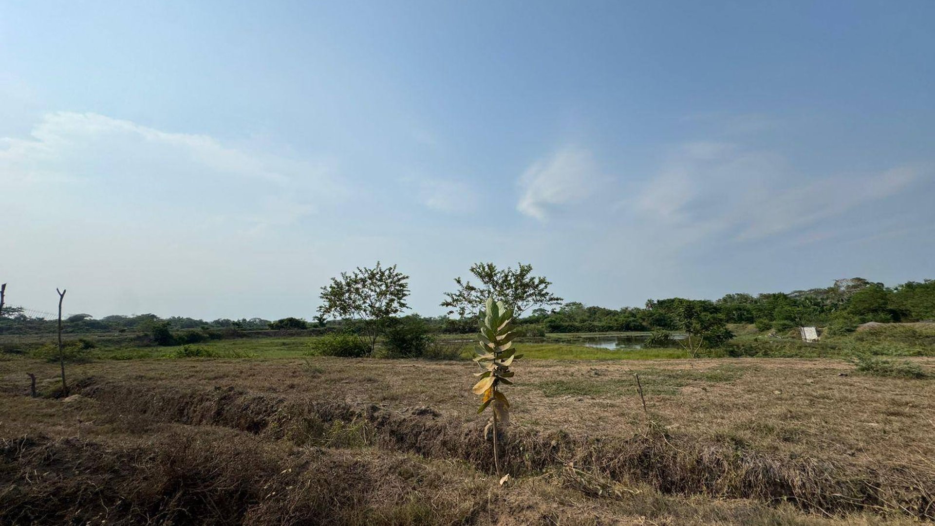 Finca en venta en Puerto Iztapa, Escuintla - Miniatura 3