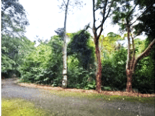Venta de terreno en izabal - 2